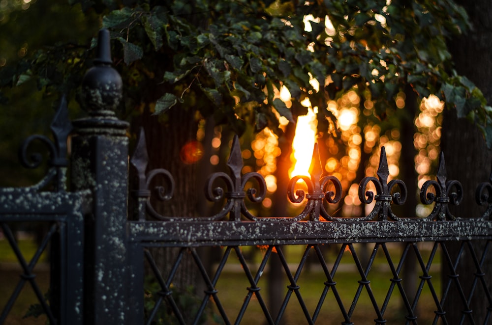 black metal fence