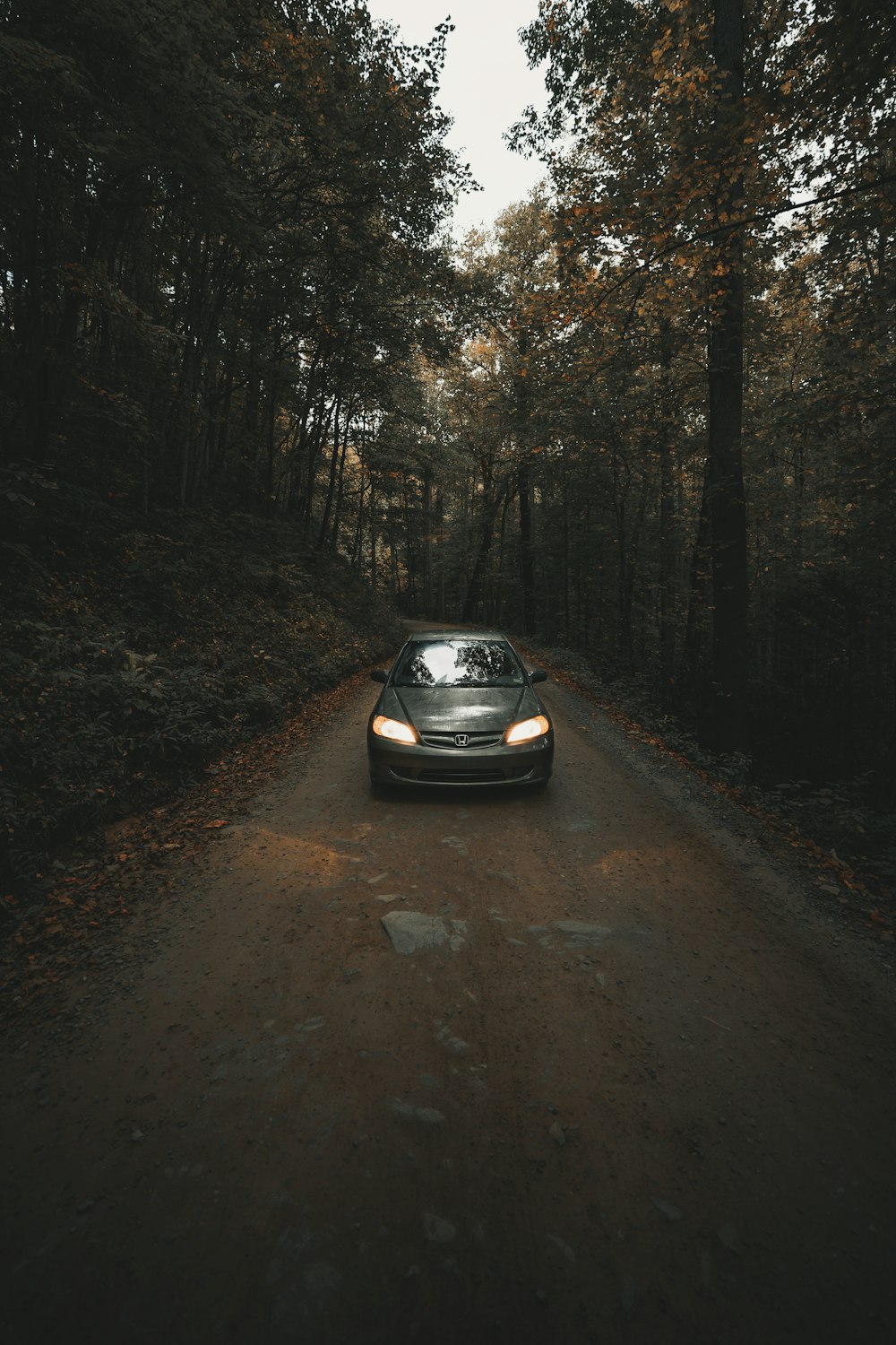 car on dirt road between trees