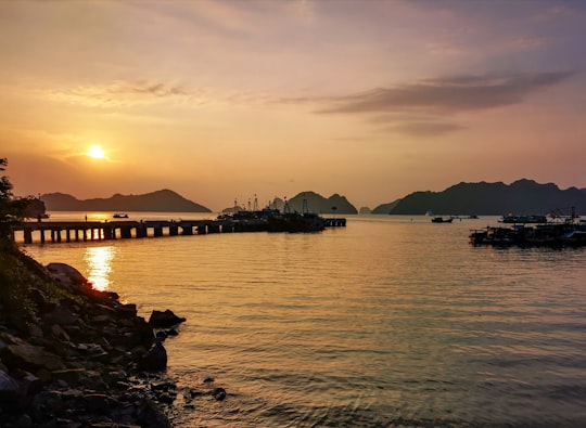 brown dock during golden hour in Cat Ba Vietnam