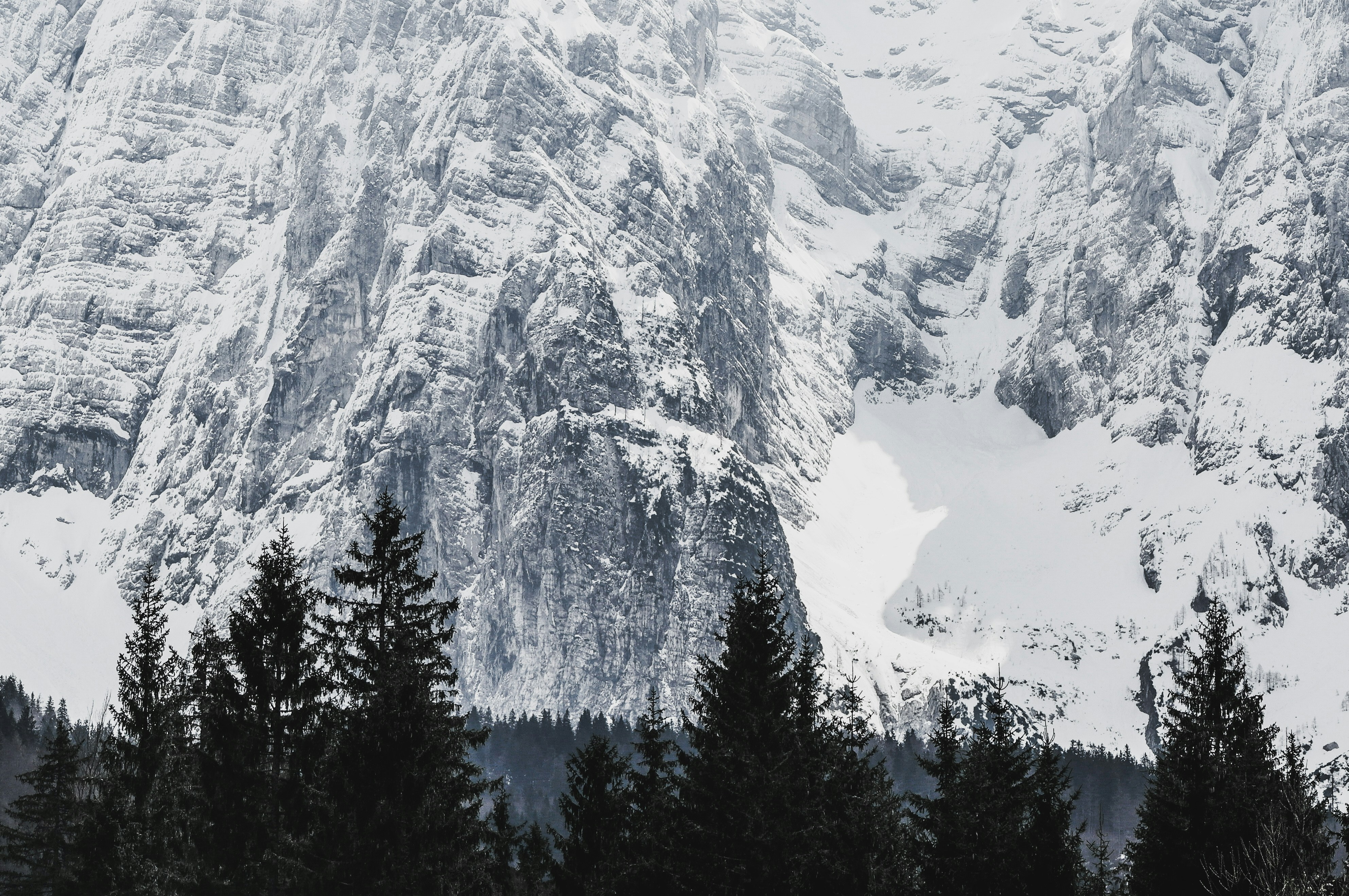 Photo by sarahmutter