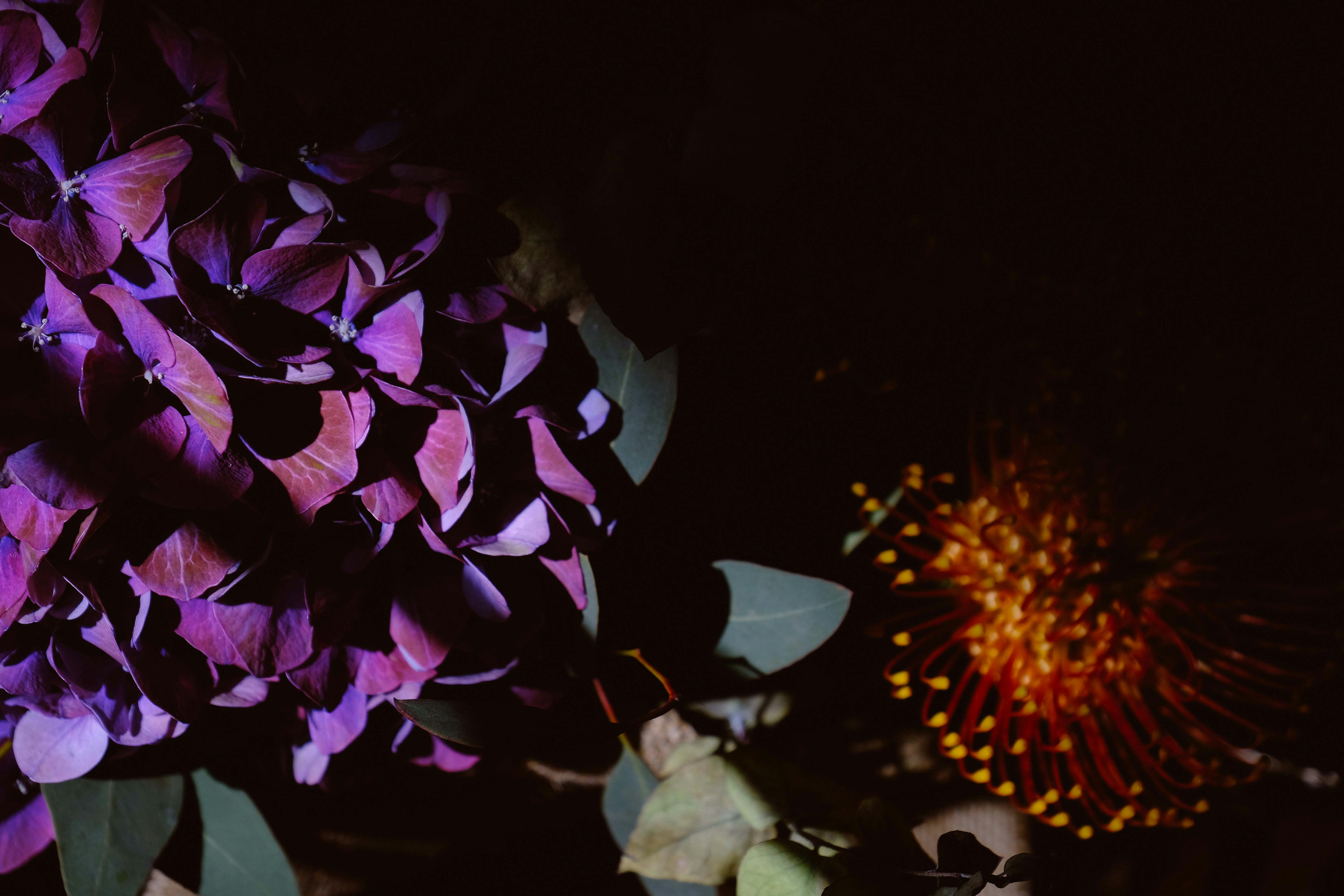 Photo by francesco_ungaro