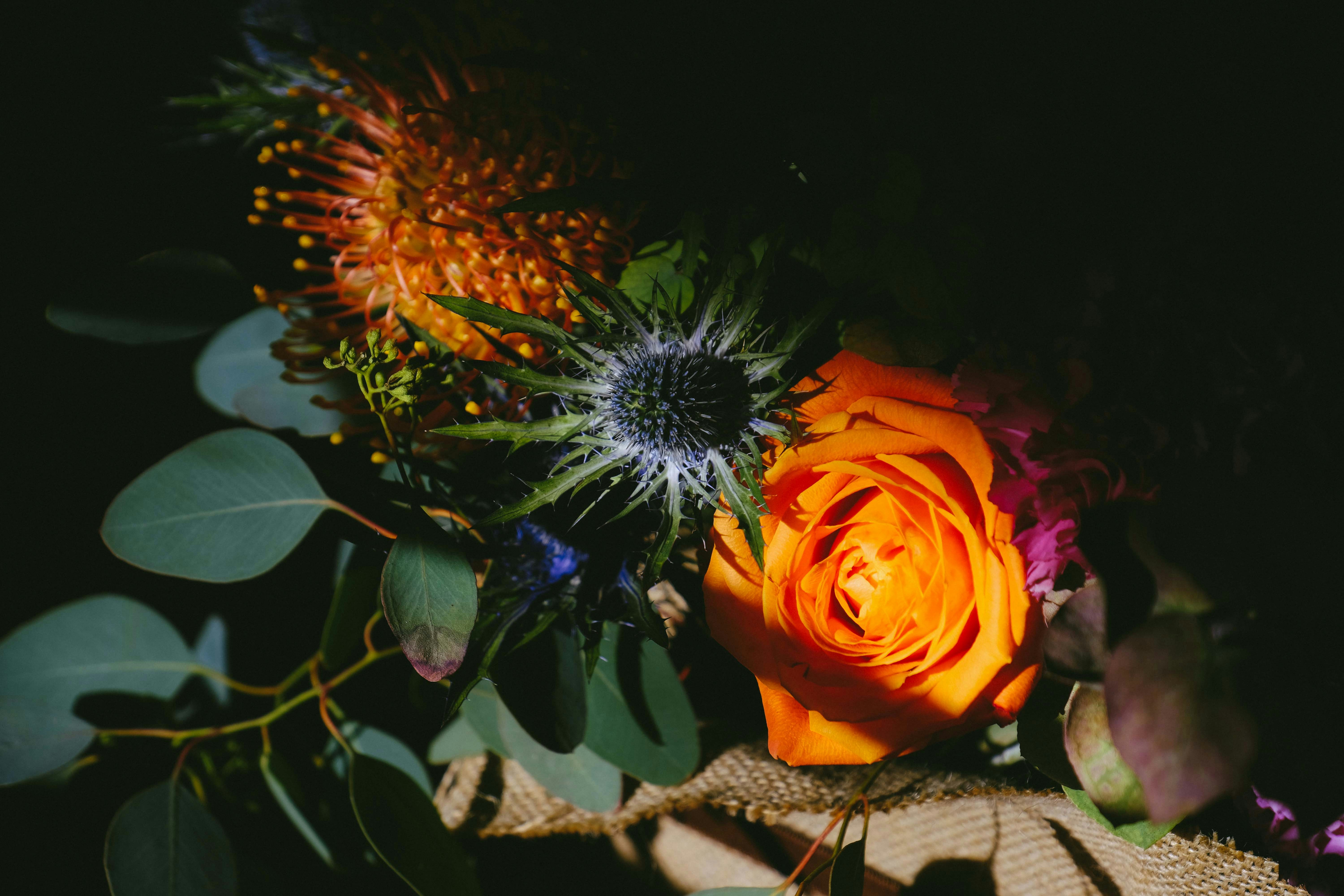 Photo by francesco_ungaro