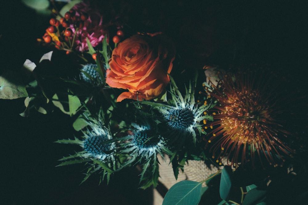 assorted-color-petaled flowers