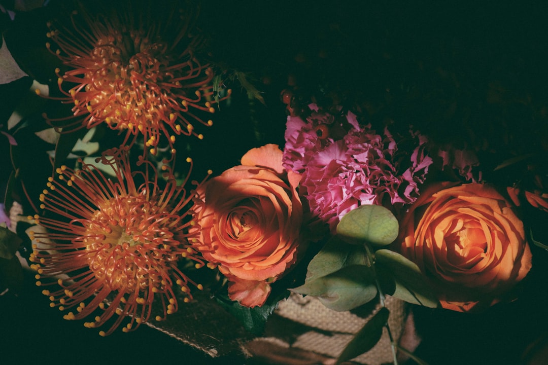 orange and pink flowers