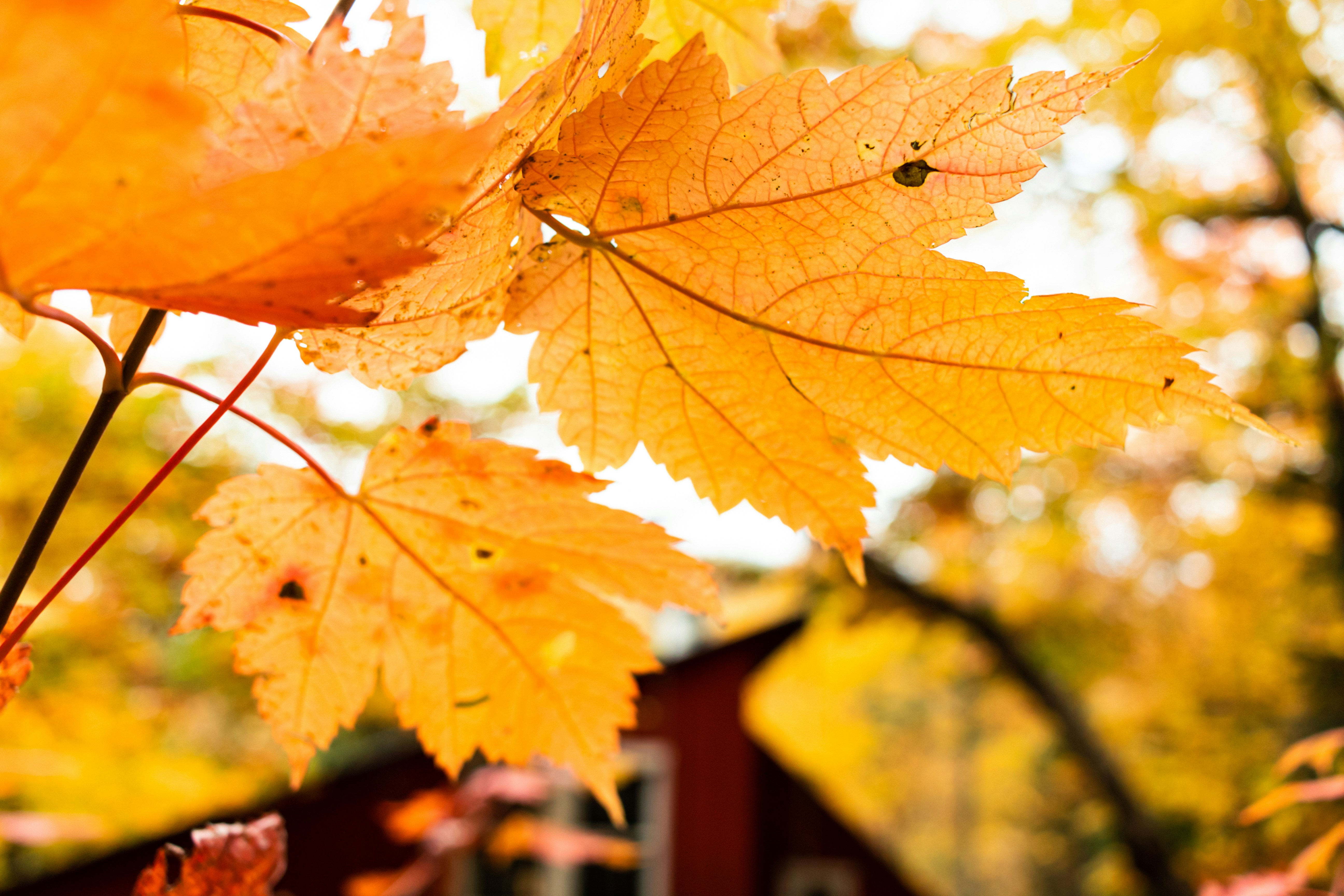 Photo by oliver_fetter