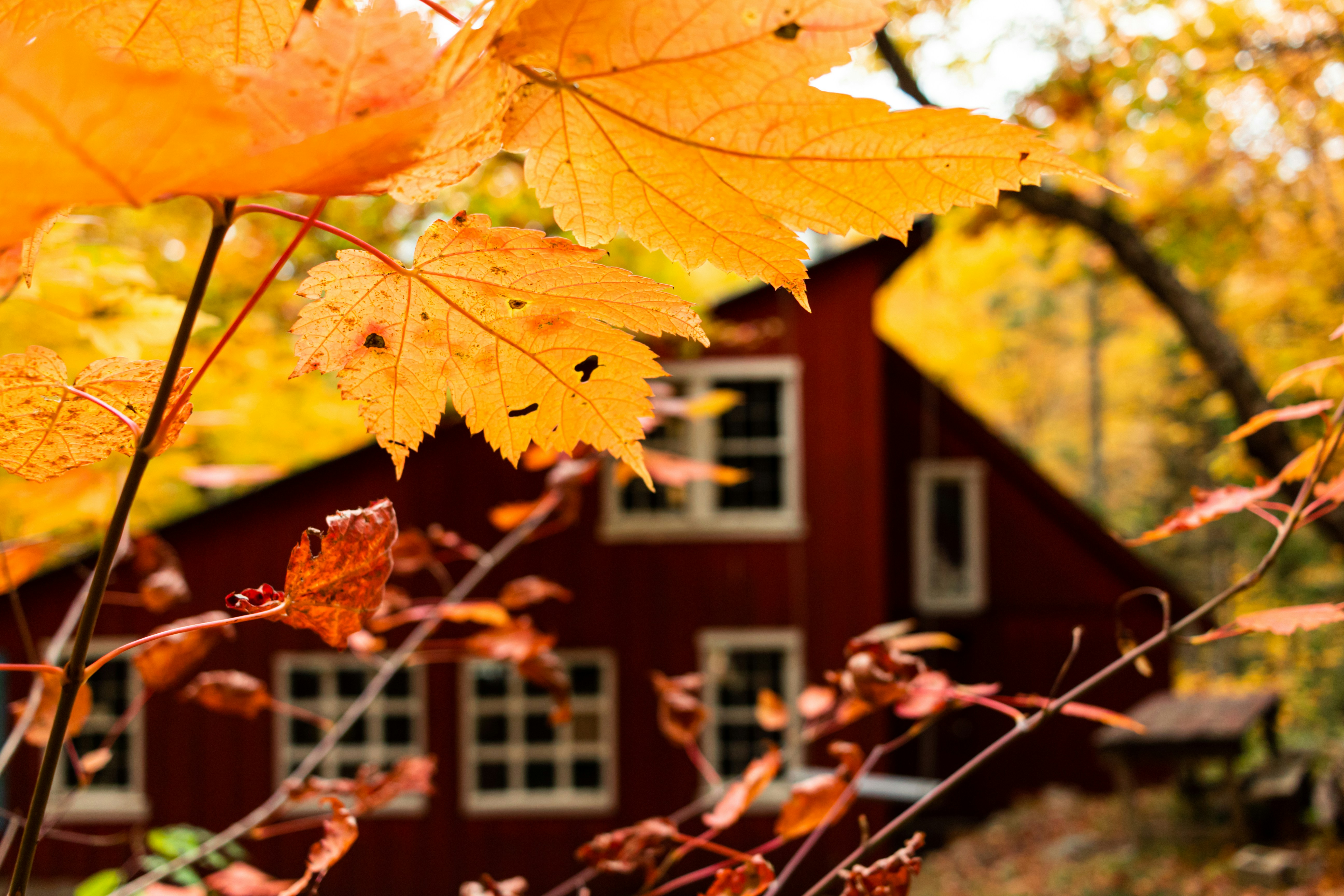 Photo by oliver_fetter