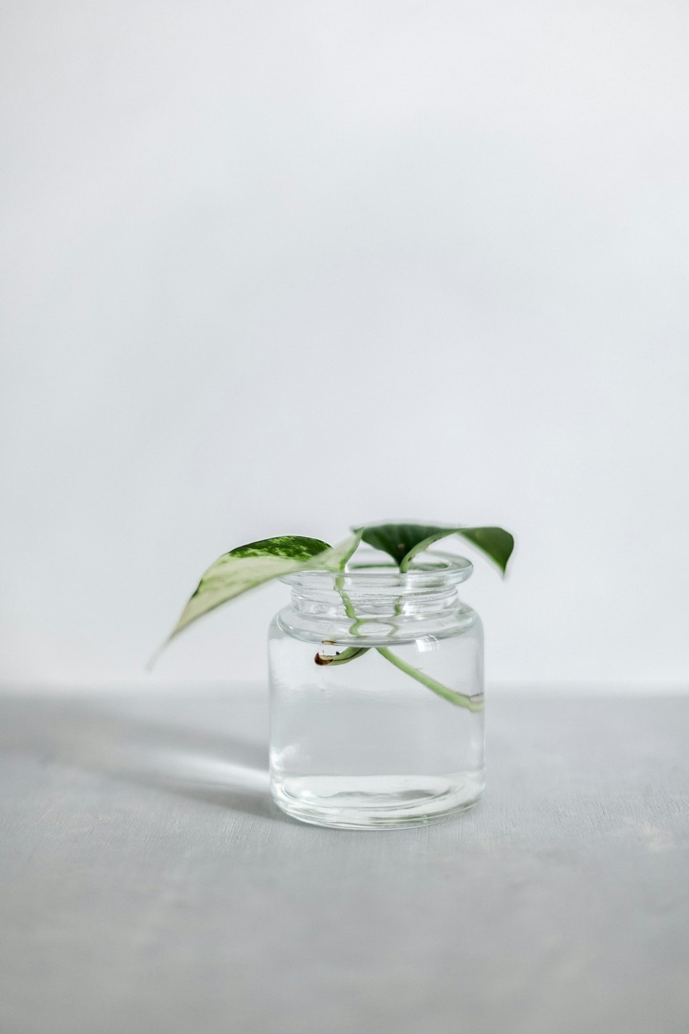 clear glass jar