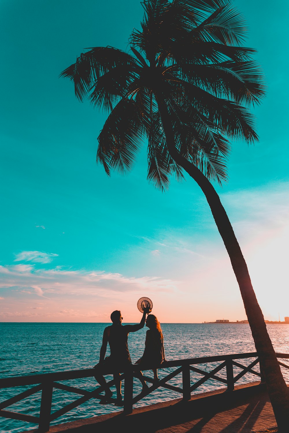 man and woman sitting on wooden fence near brown and green palm tree