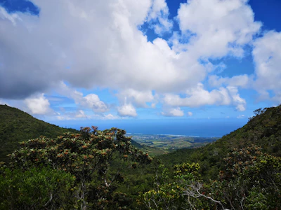 A vibrant photo of the Ko'olau mountain range towering over Kaneohe with lush greenery and blue skies.