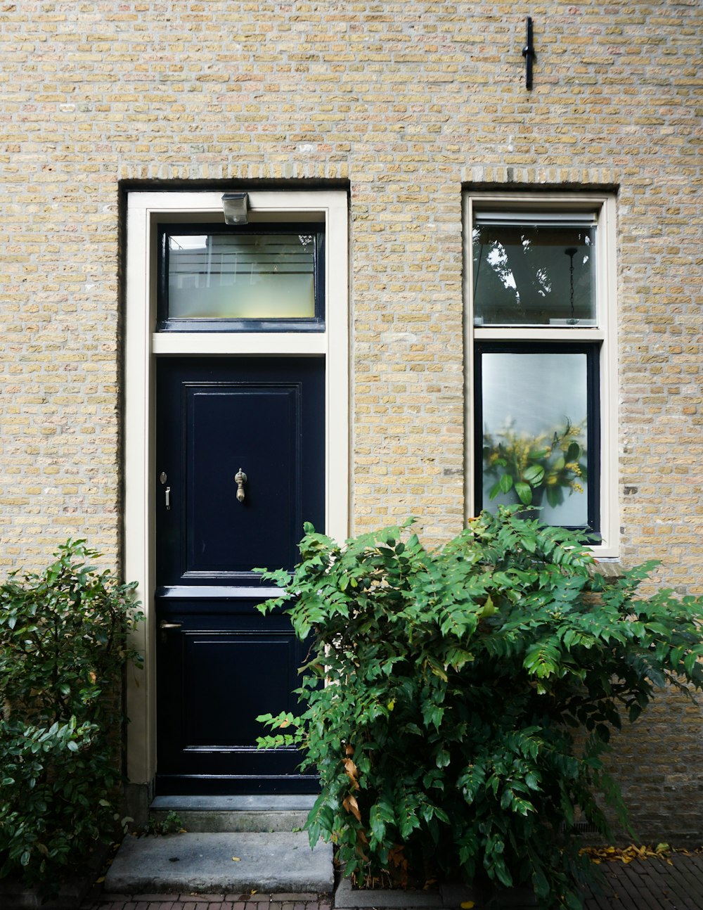 closed glass door