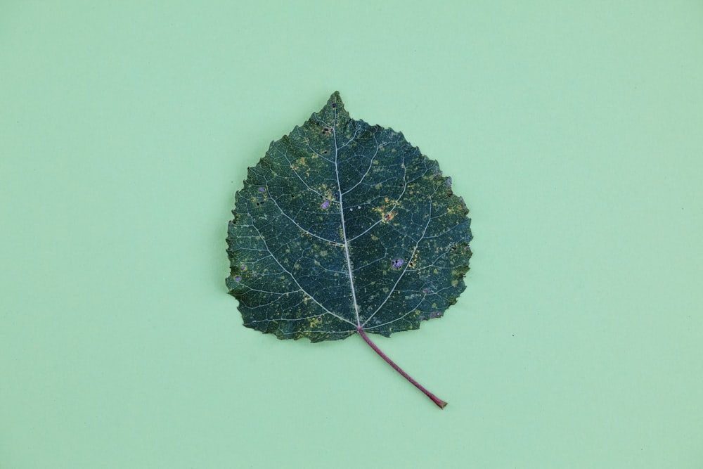 green-leaf