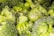 Close-up view of several broccoli florets covered with a layer of frost, indicating they are frozen. The surface texture of the broccoli is detailed, showing its bumpy and leafy parts.