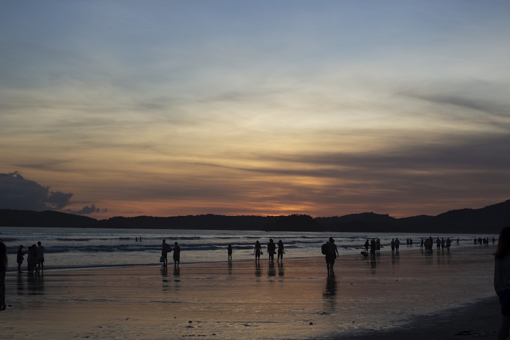 people in seashore during golden hour