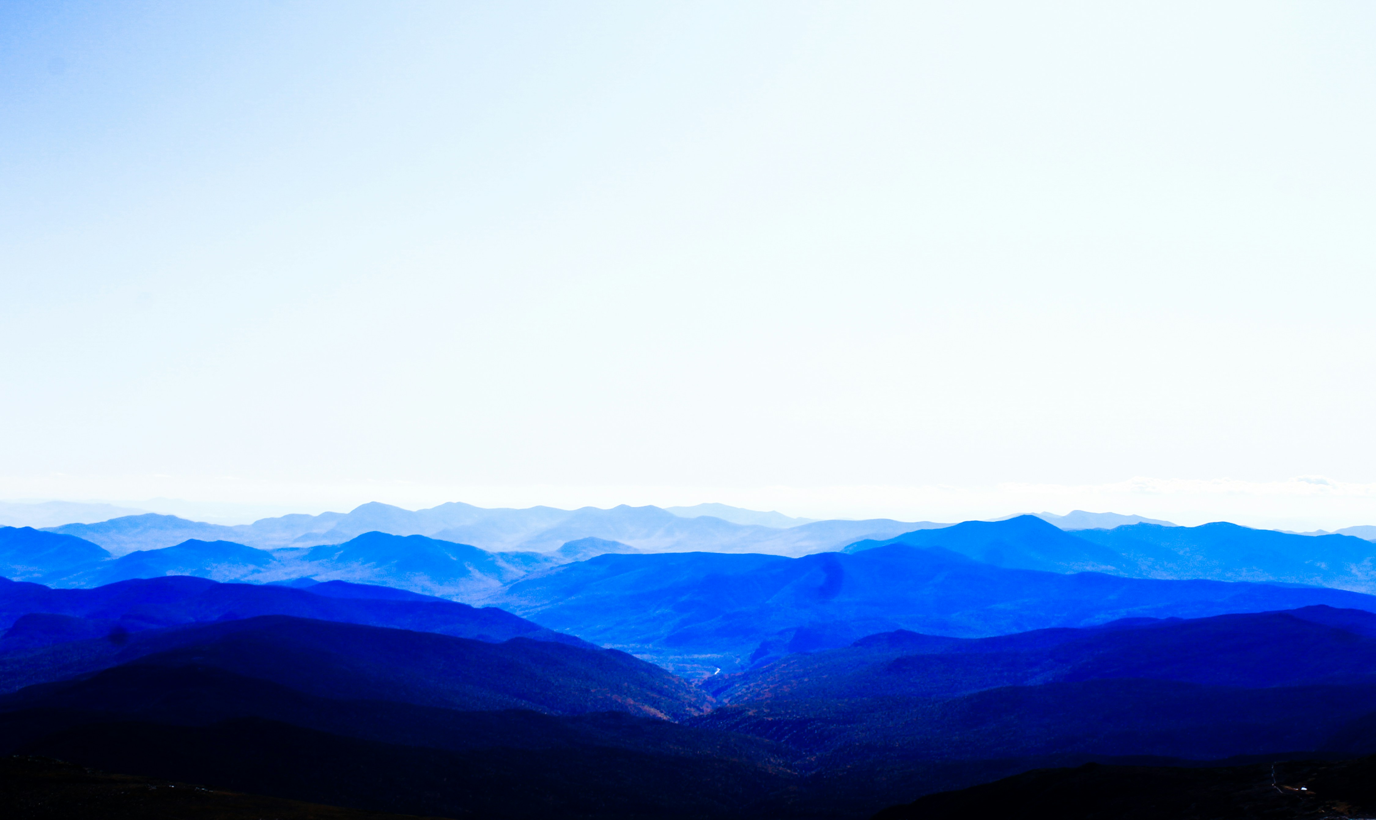 Photo by elvistrinity