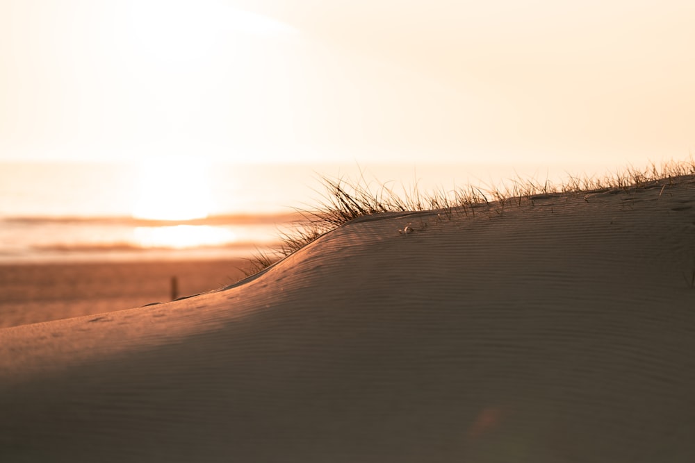 desert during daytime