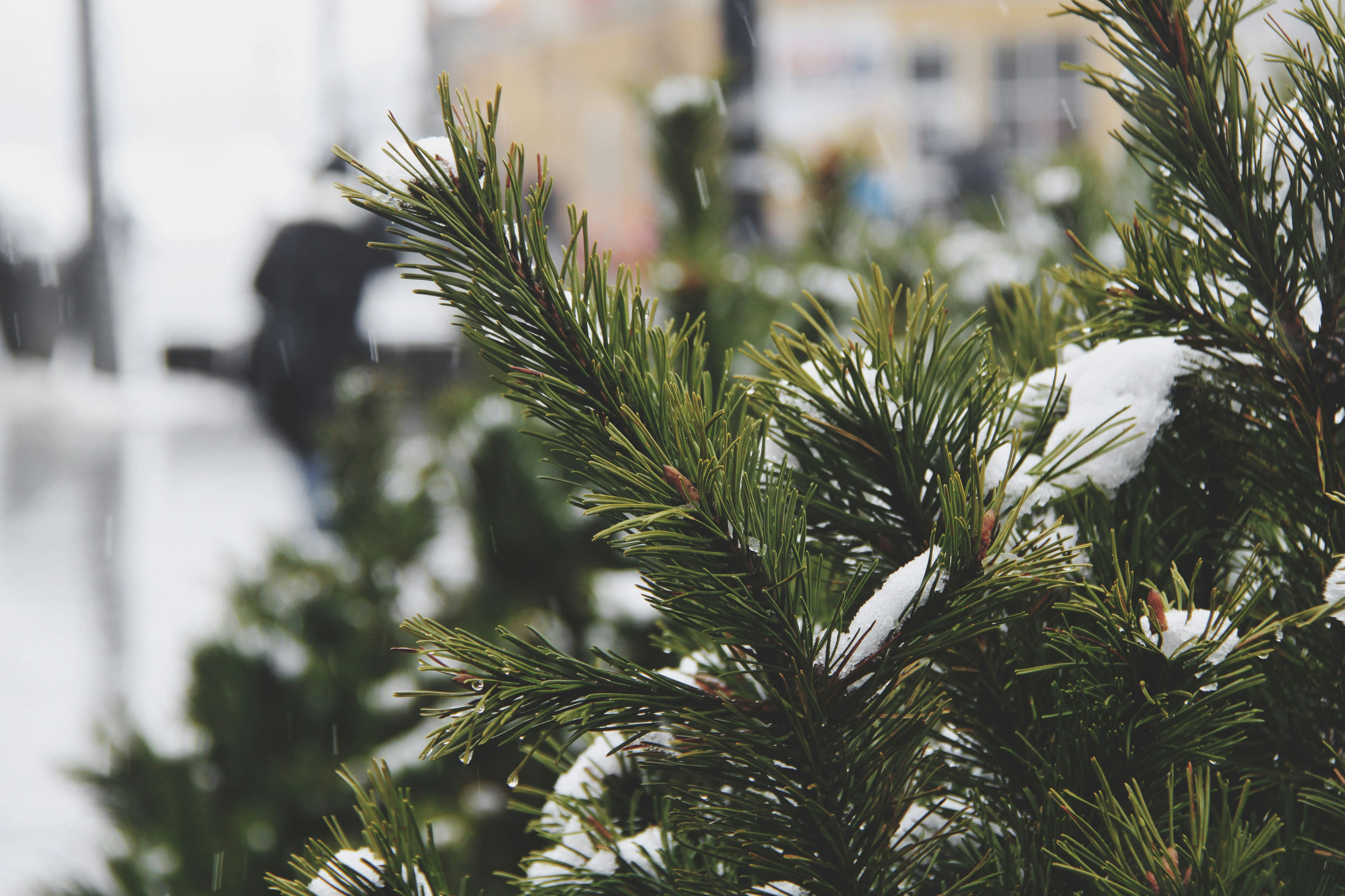 Photo by mynameisged