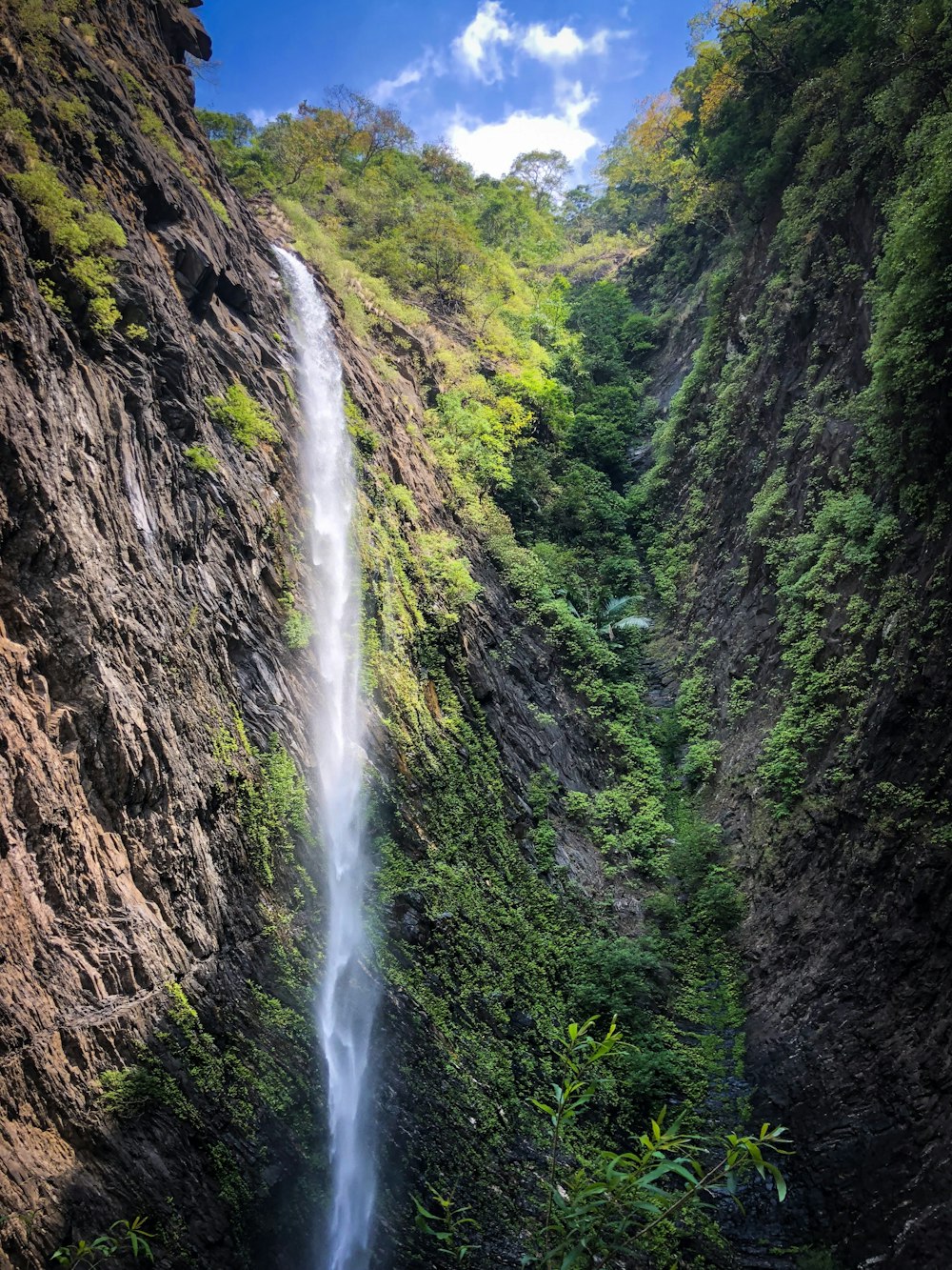 cascades rocheuses et herbeuses pendant la journée