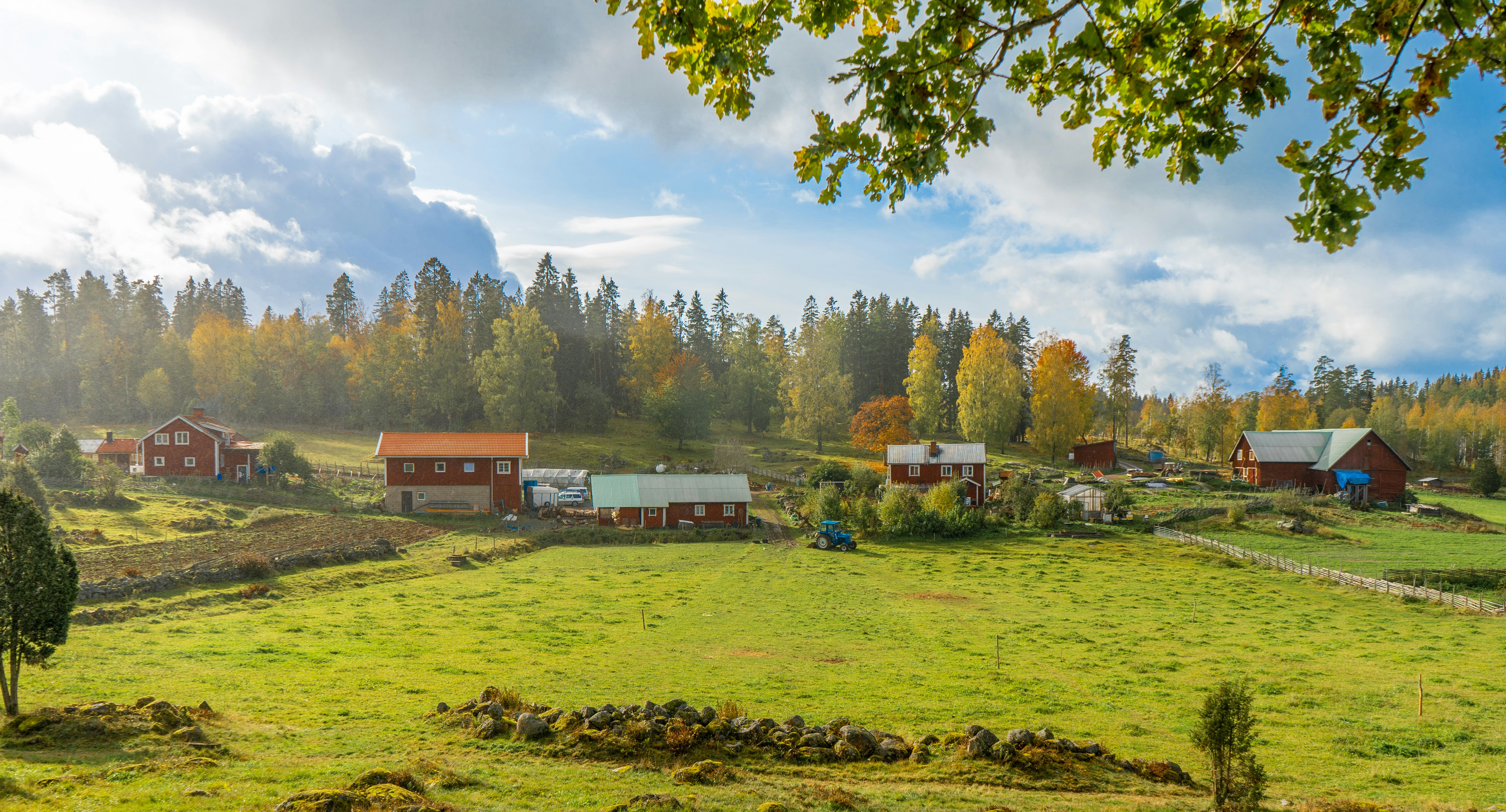 Photo by maxmuselmann