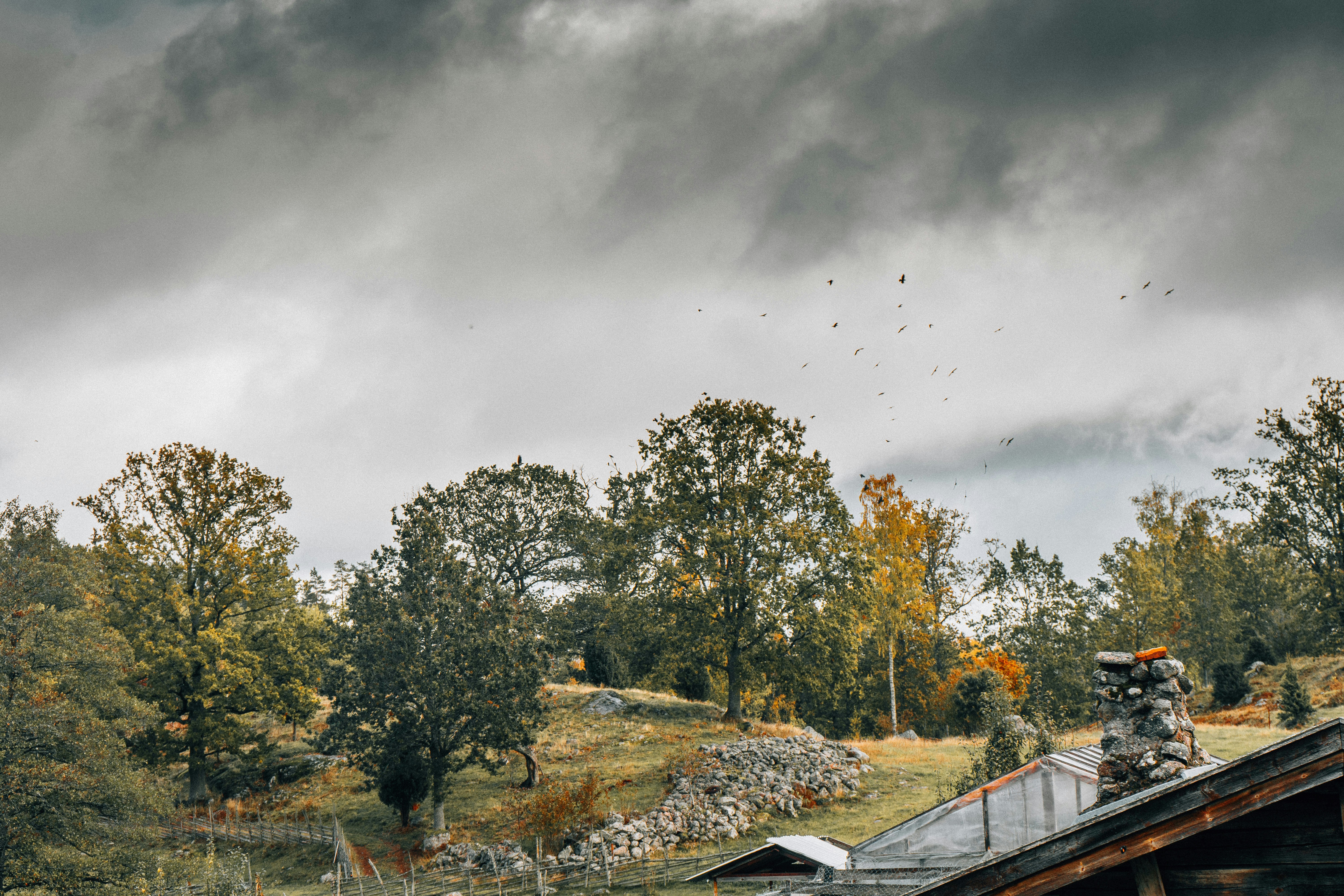 professional roofer inspecting storm damage on a residential roof