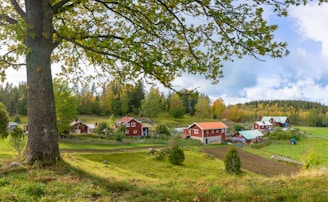 houses on grass field near forest