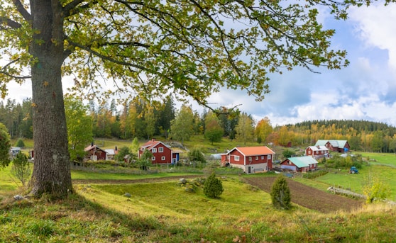 houses on grass field near forest