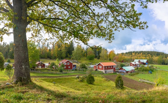houses on grass field near forest