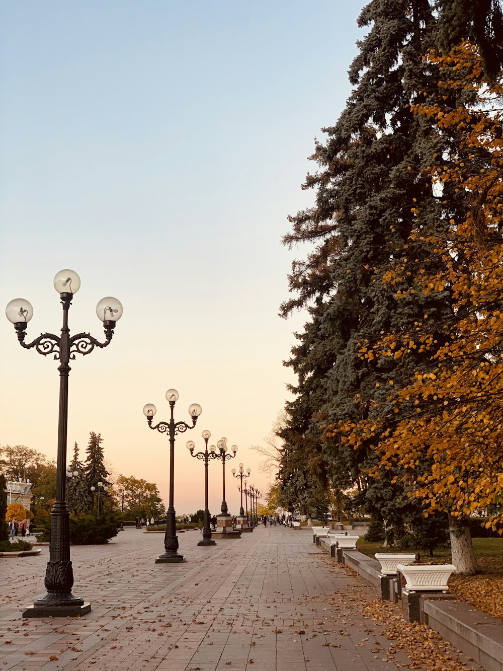 empty park view during daytime