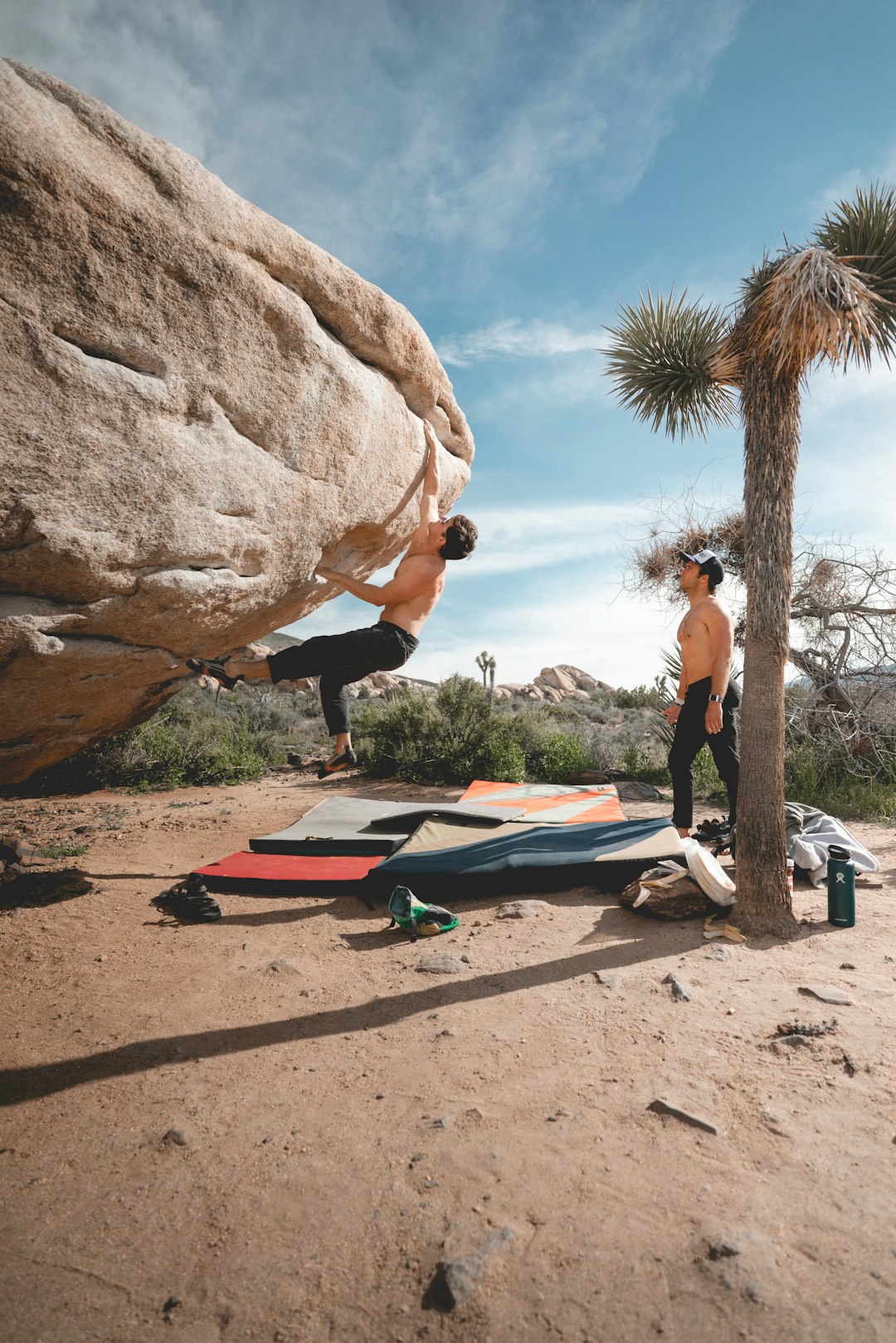 man climbing on rock near man standing beside tree during daytime