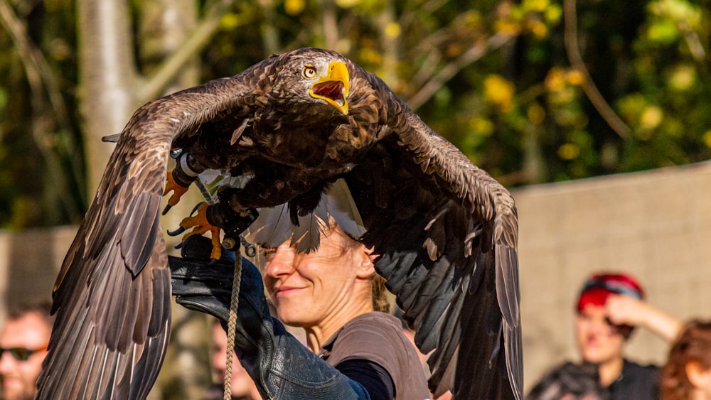 selective focus photography of person holding eagle taxidermy during daytime