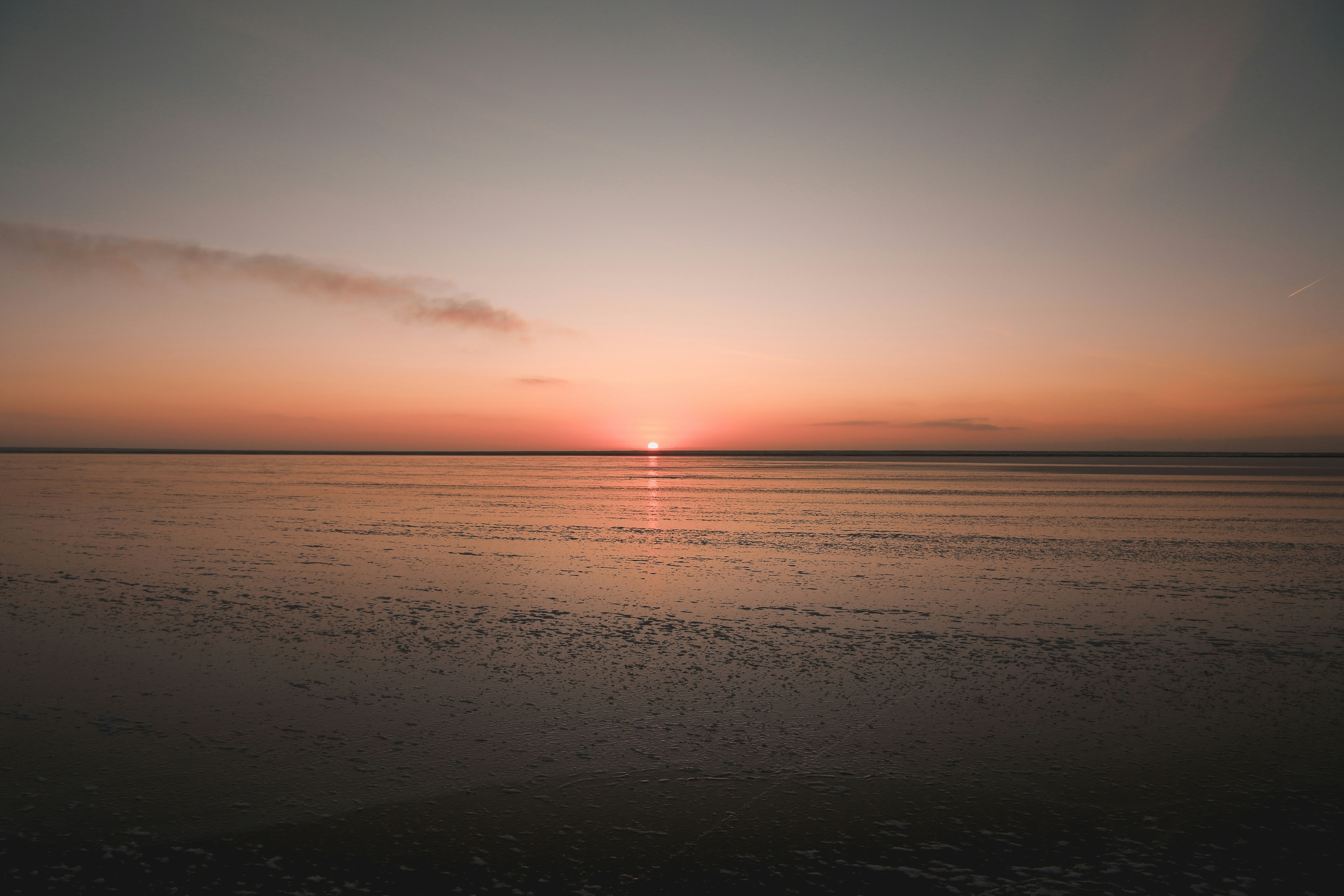 Photo by brendanhollis