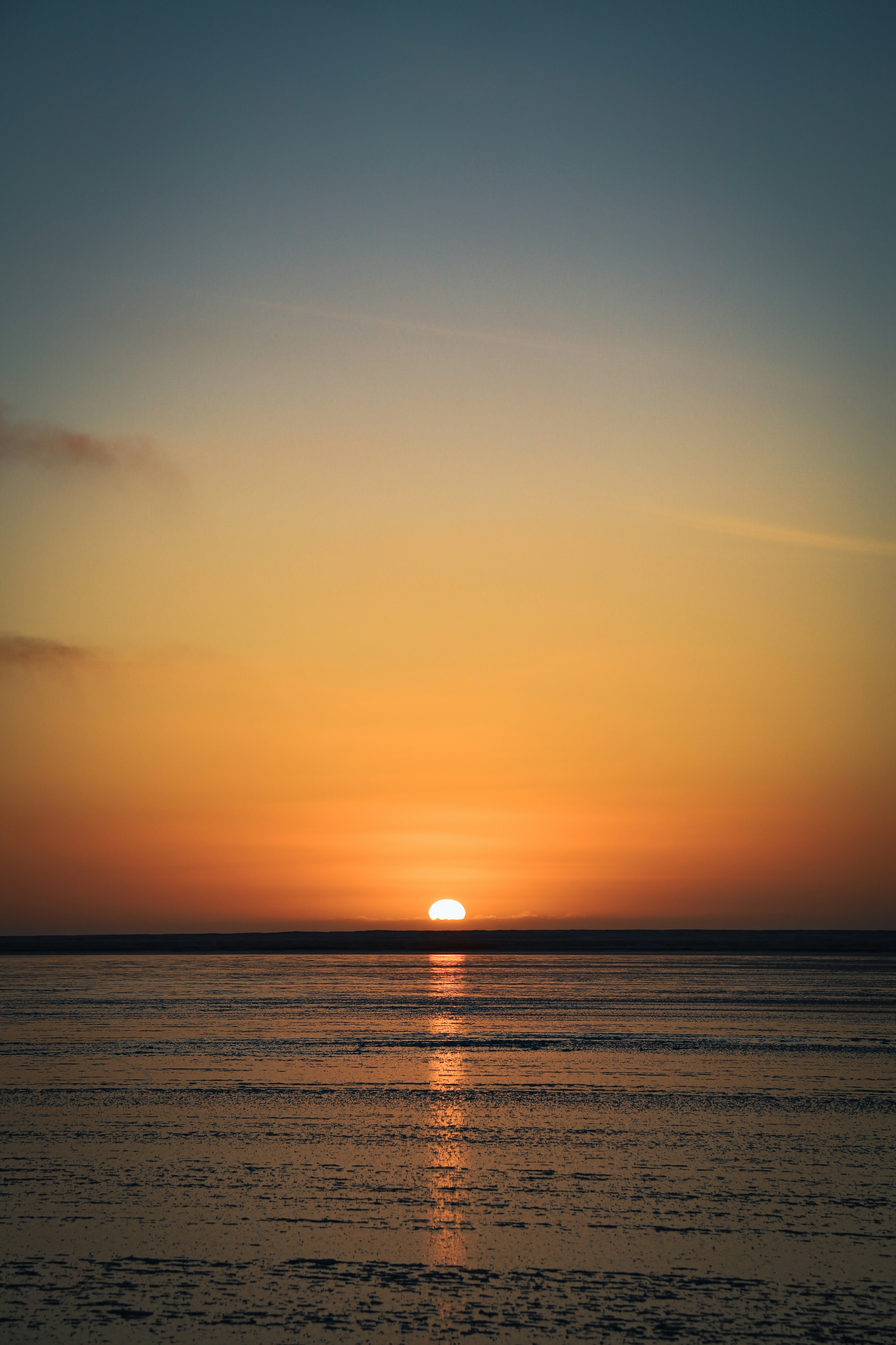 Photo by brendanhollis