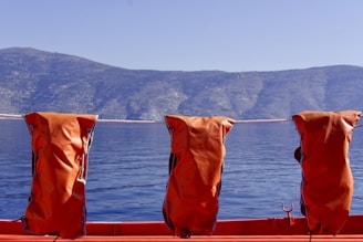 Three orange life jackets hang on a railing with a backdrop of calm blue water and mountainous terrain in the distance. The scene is set under a clear blue sky, suggesting a peaceful outdoor aquatic environment.
