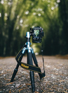 camera on tripod in the middle of the road surrounded with trees during day