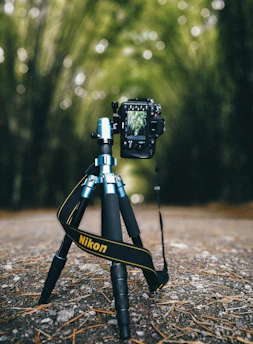 camera on tripod in the middle of the road surrounded with trees during day