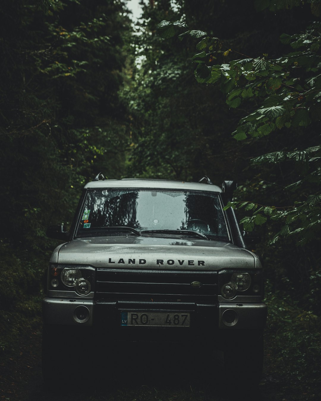 silver Land Rover SUV passing by a narrow road in the forest