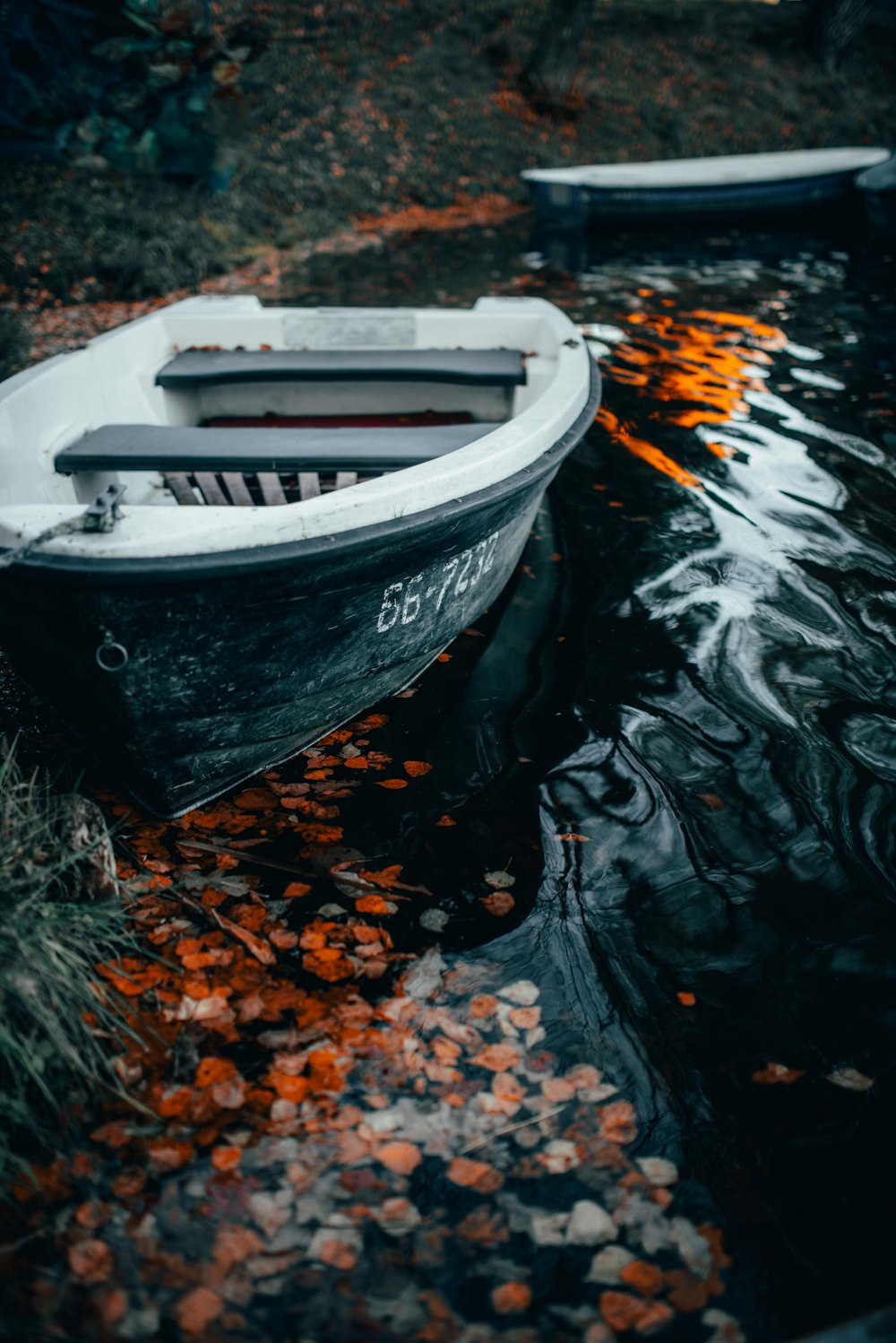 Barco al lado de la orilla