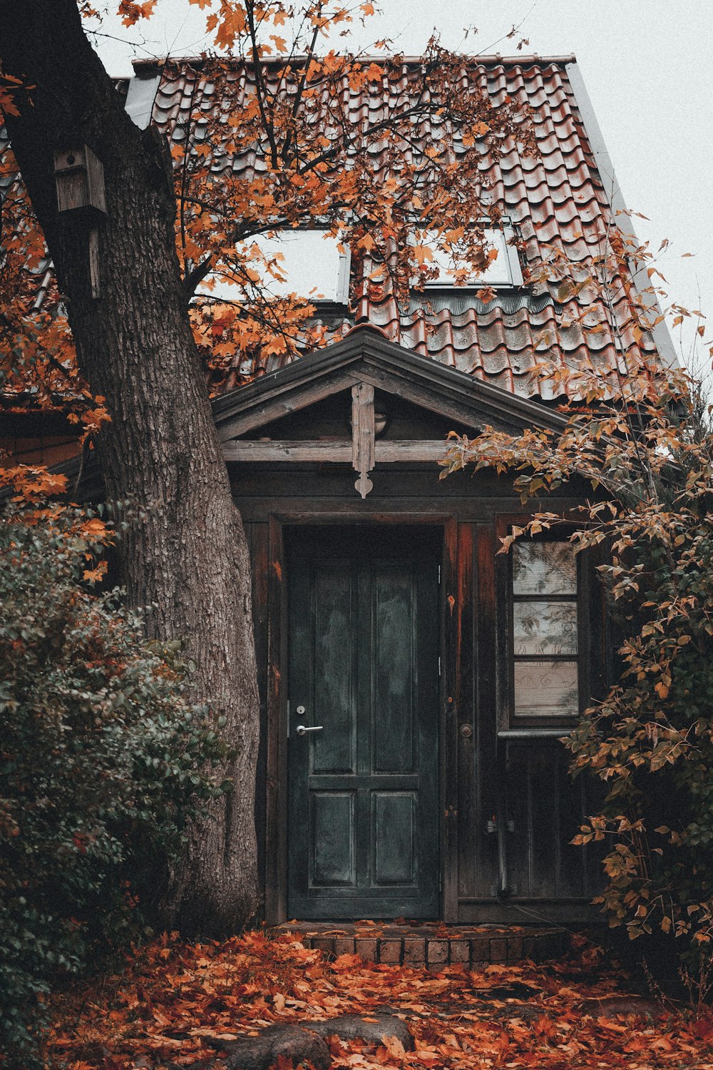 architectural photography of brown house