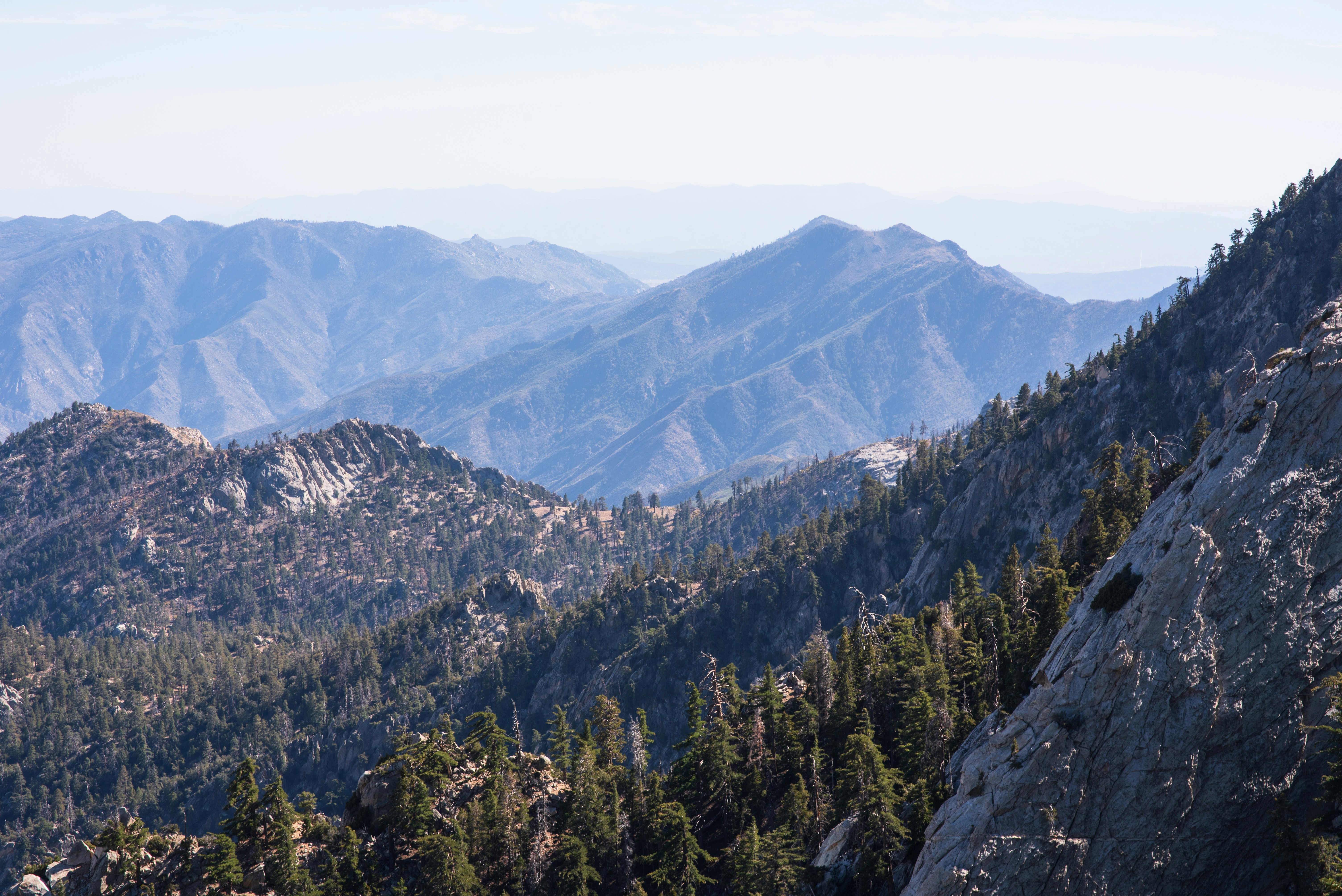 Photo by mariofasolo