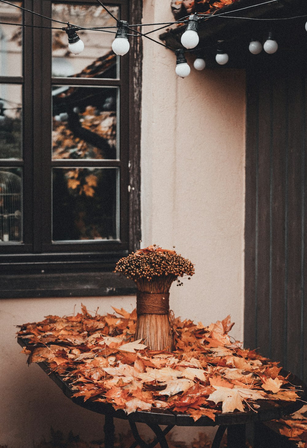 brown maple leaves and black table