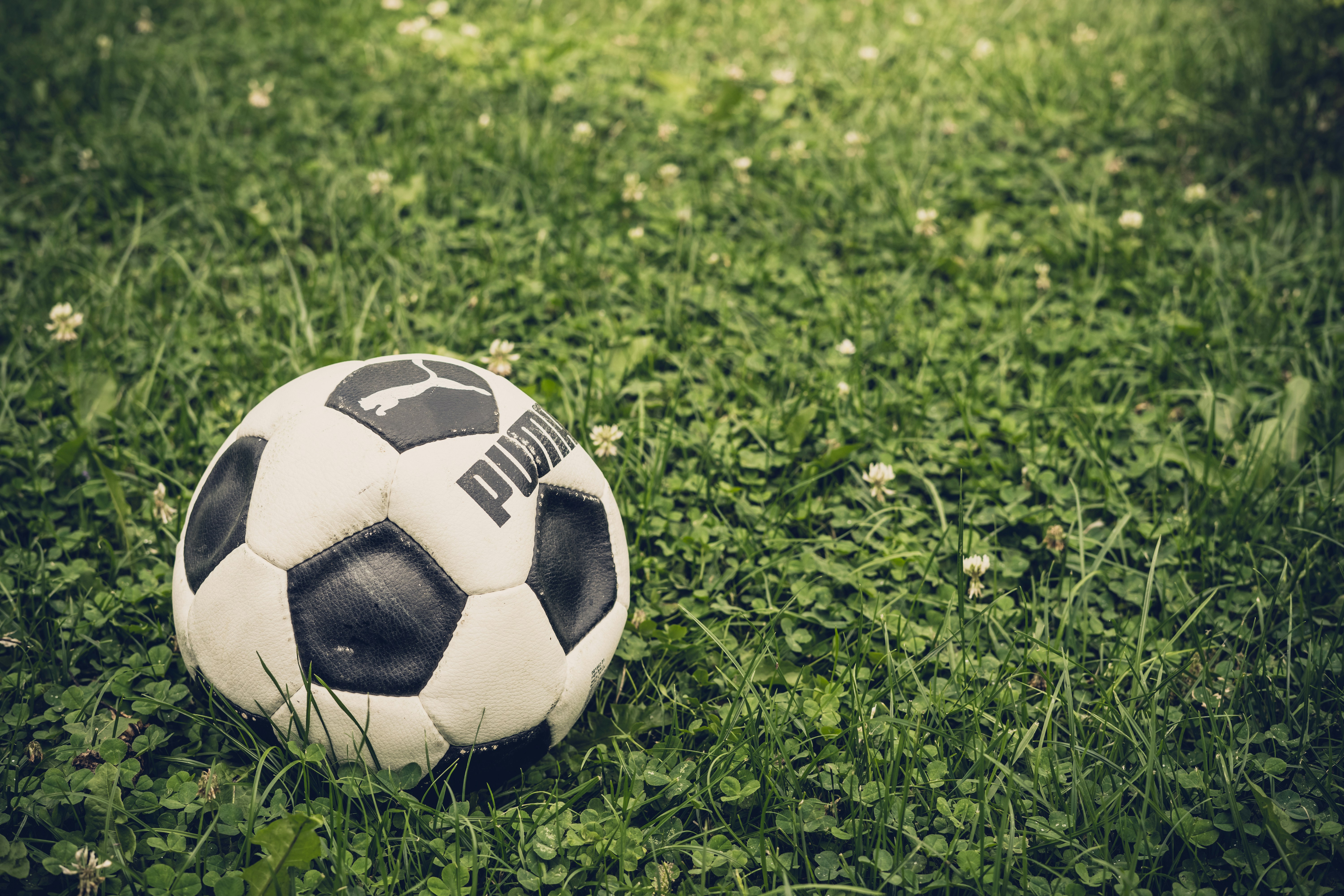 Old football lying in the grass.