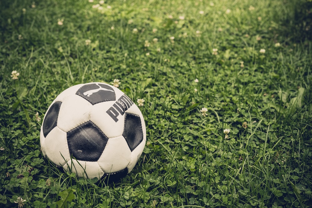 white and black Puma soccer ball