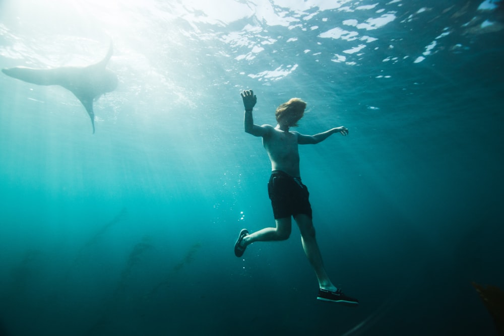 person swimming underwater