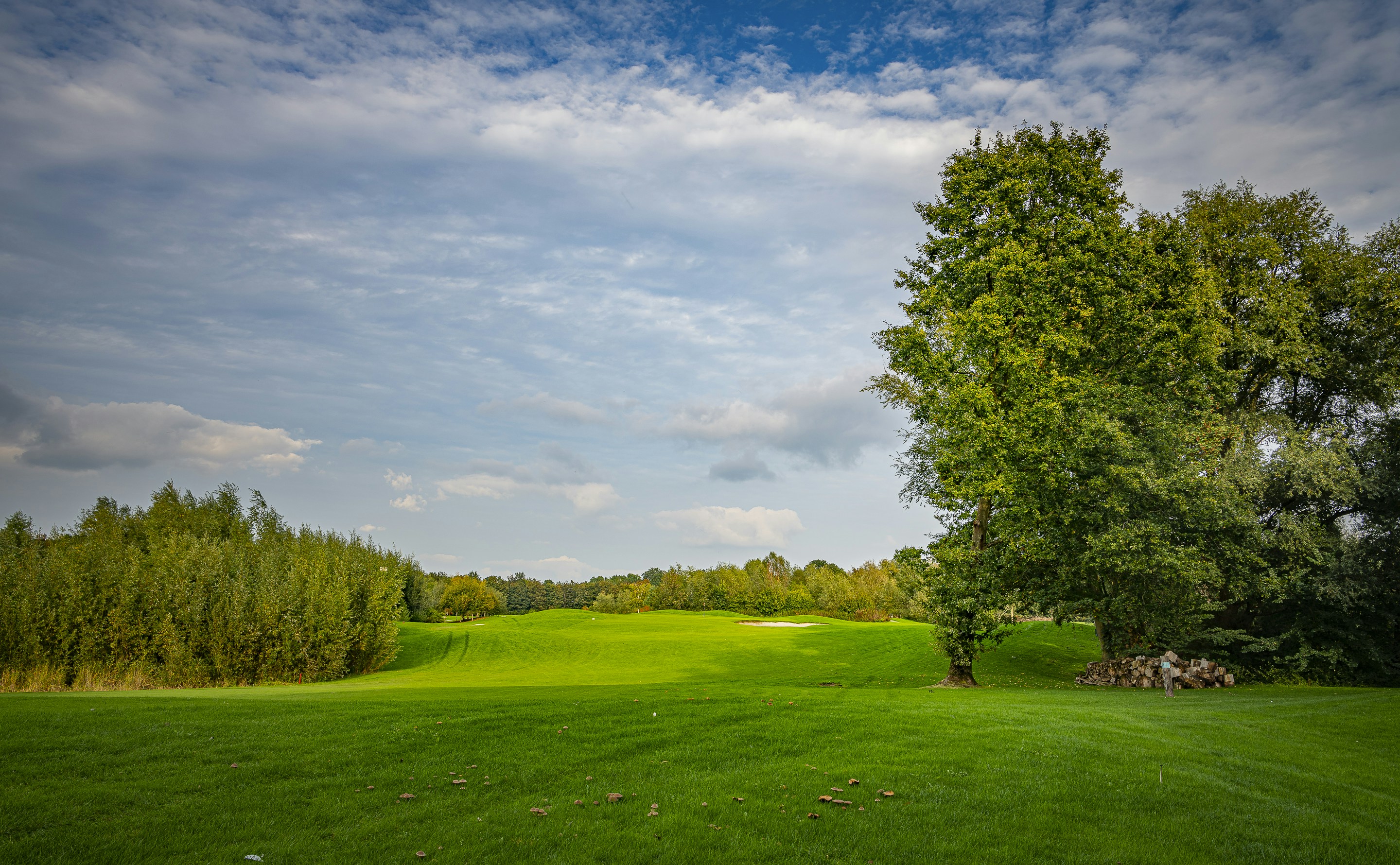 Bereit die Golfplätze Bayerns zu spielen