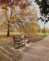 A serene park scene features a wooden bench situated along a path. The surrounding trees display vibrant autumn foliage, with leaves in shades of orange, yellow, and green. Dappled sunlight filters through the leaves, casting gentle shadows on the ground.
