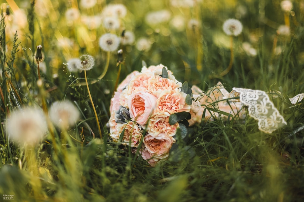 bouquet of pink-petaled flowers in grass