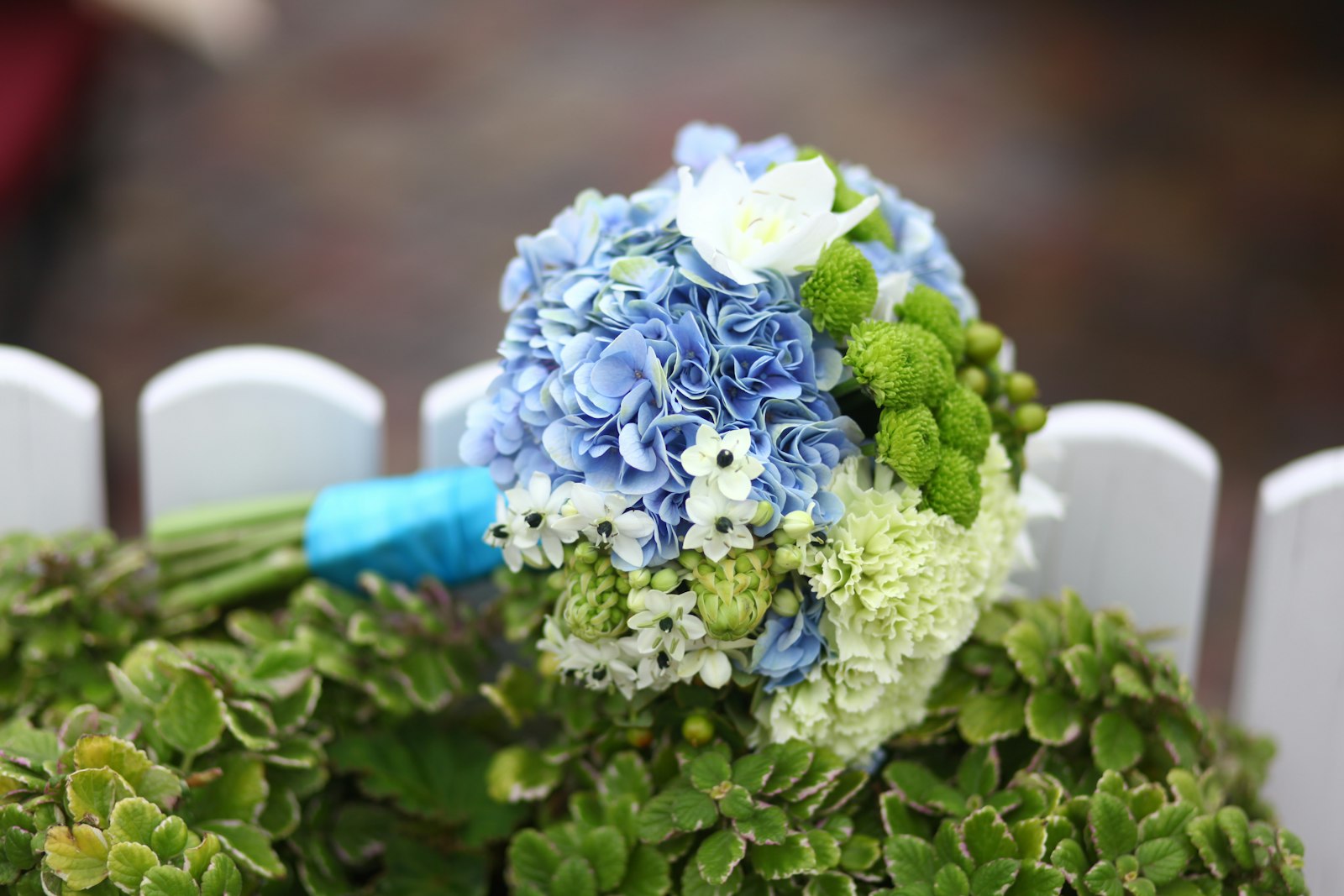 Canon EOS 5D Mark II + Canon EF 85mm F1.8 USM sample photo. Bouquet of blue and photography