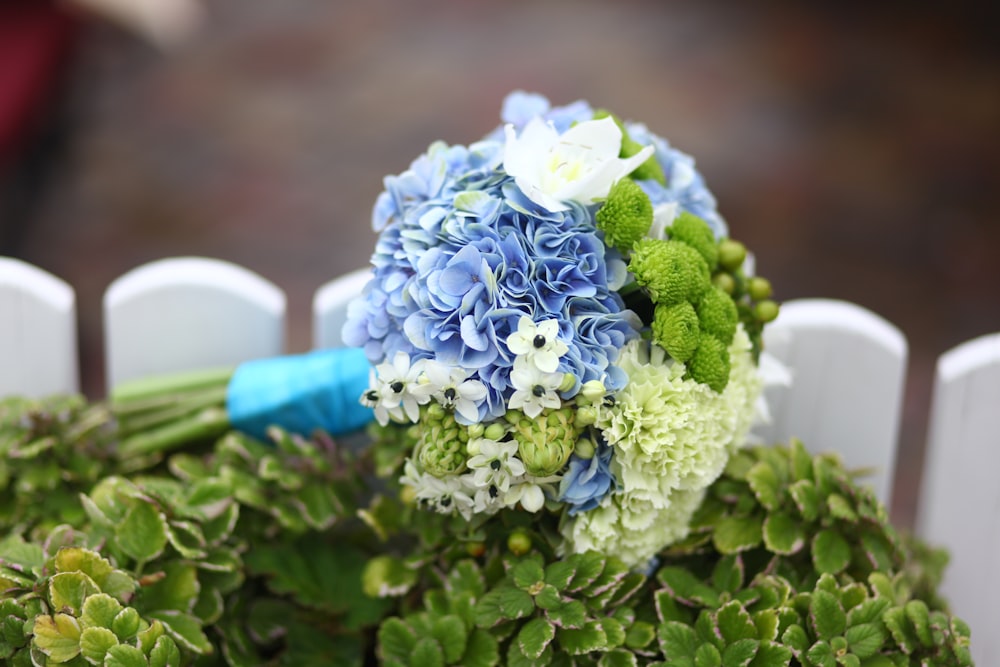 bouquet of blue and green-petaled flowers