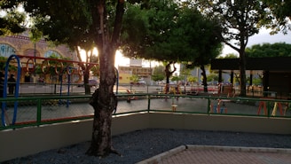 A playground area features colorful climbing structures, including circular hoops and swing sets, surrounded by greenery and trees. The scene is captured at sunset, with warm sunlight filtering through the branches, creating long shadows.