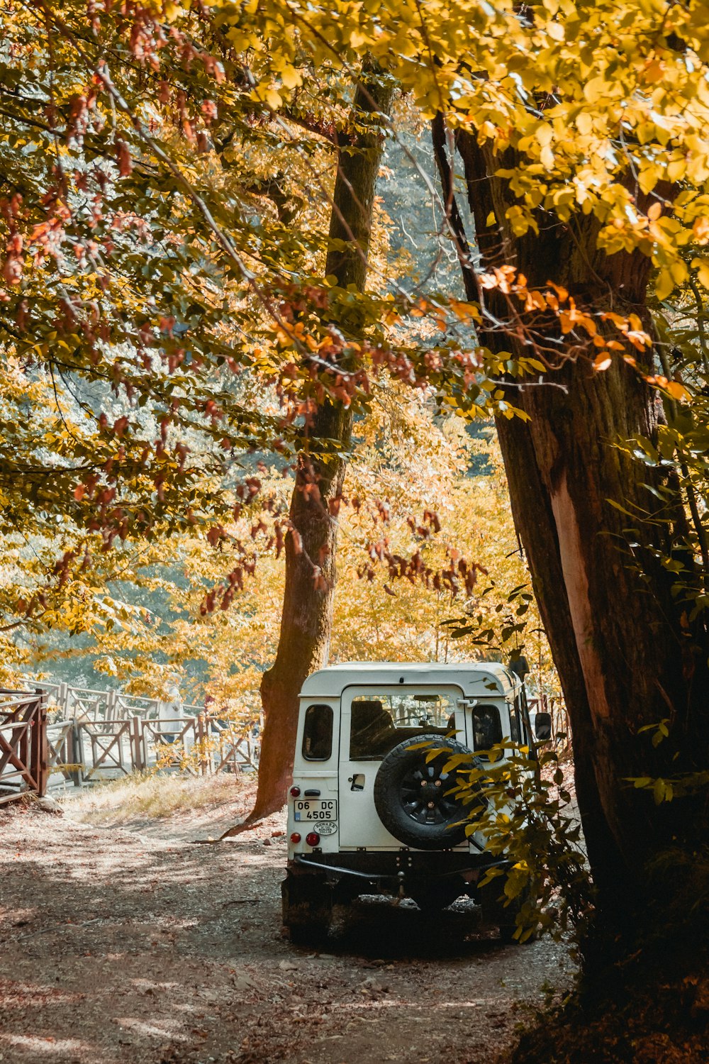 white vehicle under trees during daytime