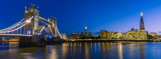 A panoramic view of Istanbul's skyline at dusk, highlighting the Bosphorus Bridge with soft city lights.